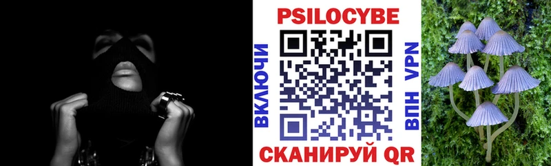 цена   Белебей  Галлюциногенные грибы GOLDEN TEACHER 